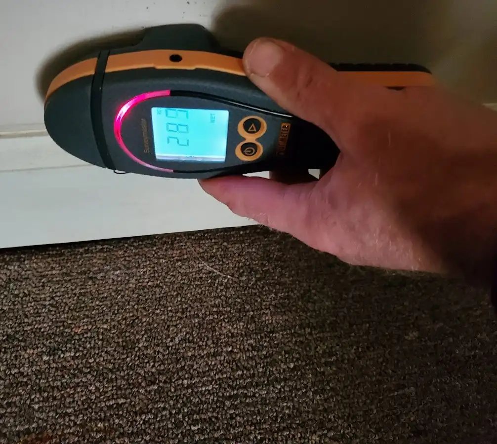 Moisture detection at baseboard during Sewage Cleanup & Sanitation in Houlton